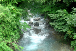 勢いのある四万川