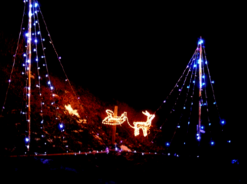 なかざわ旅館 クリスマスツリー